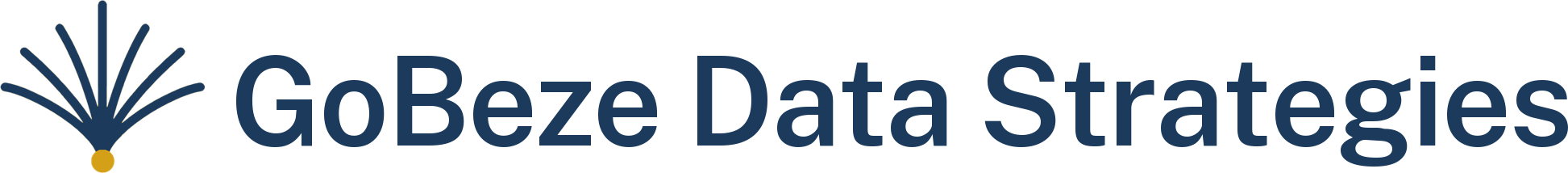 GoBeze Data Strategies
